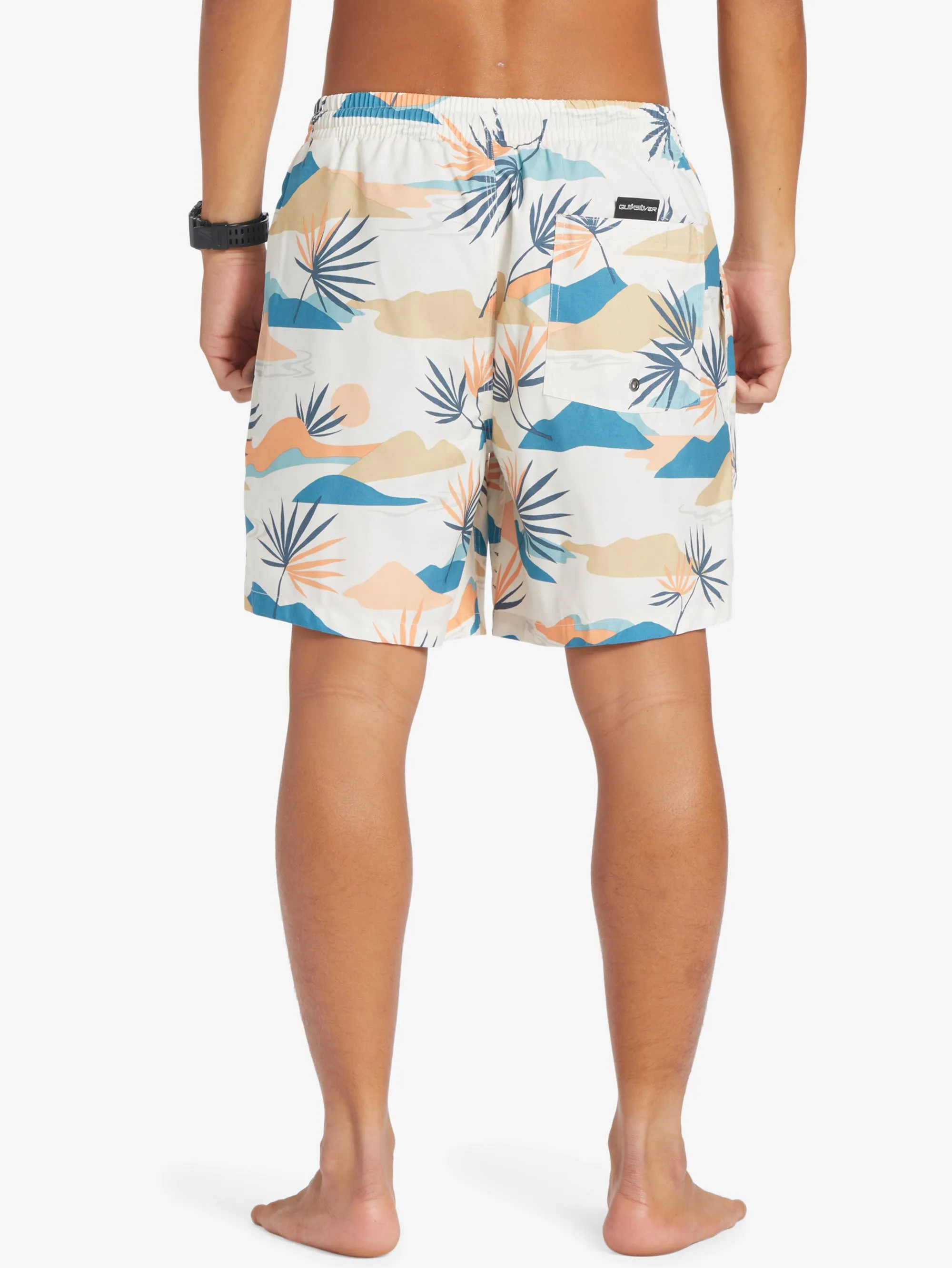Mens Everyday Mix 17" Swim Shorts