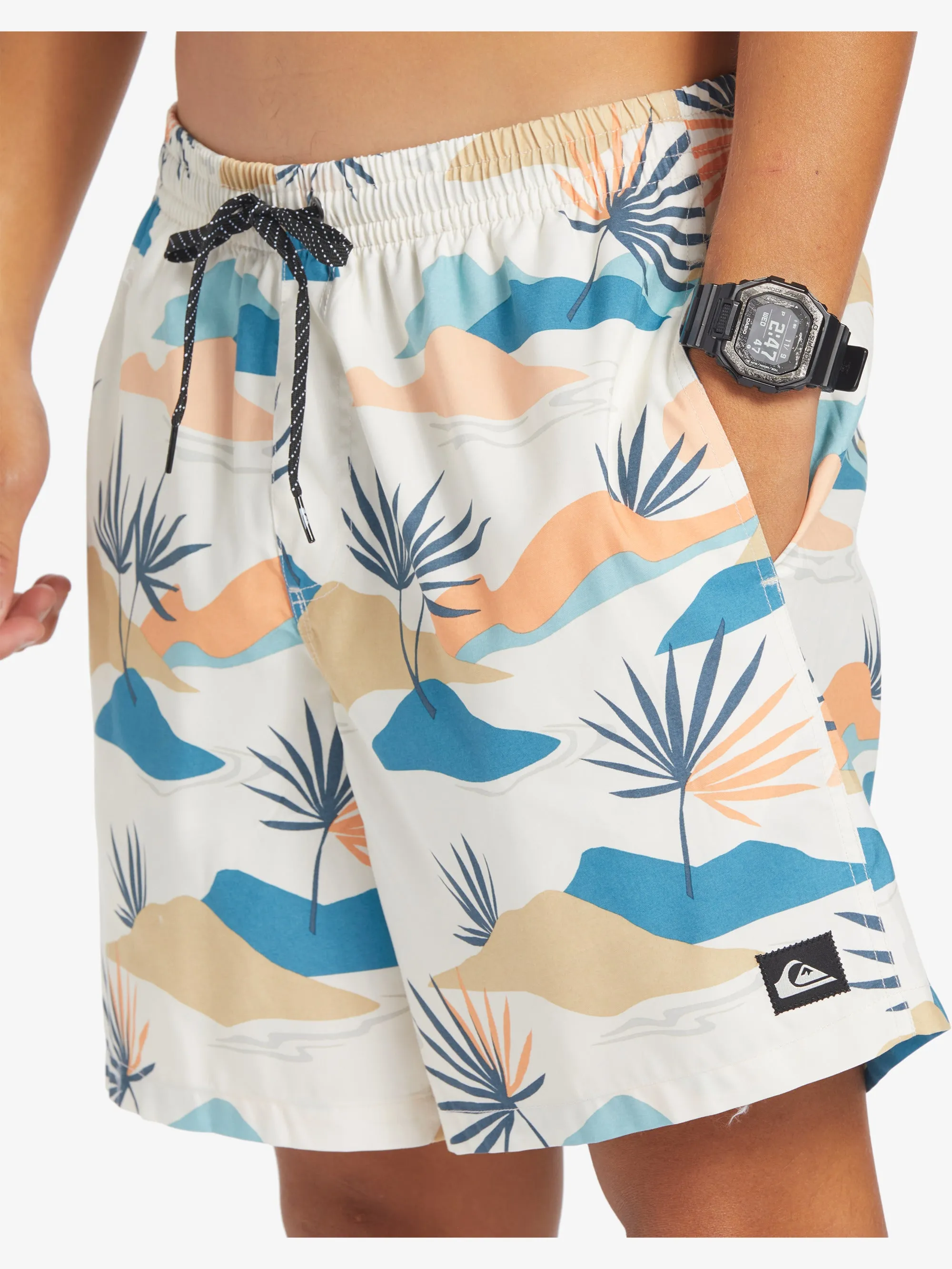Mens Everyday Mix 17" Swim Shorts