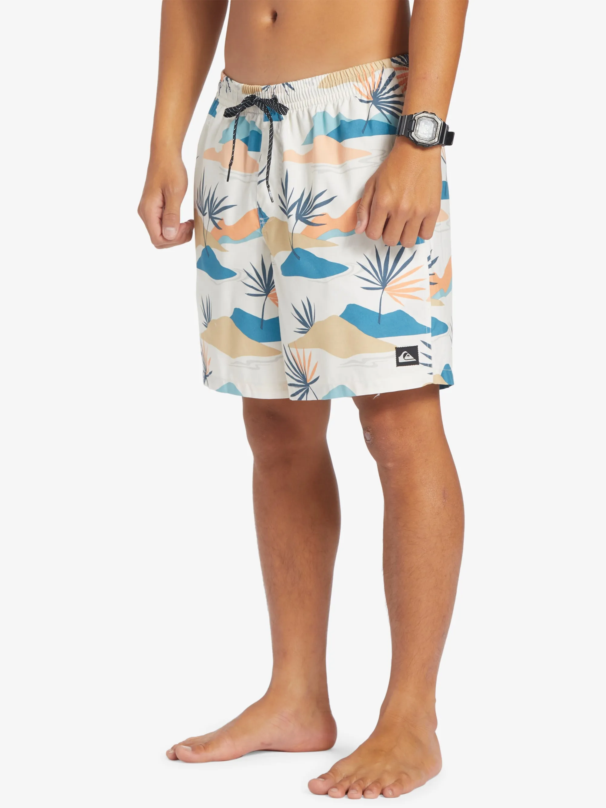 Mens Everyday Mix 17" Swim Shorts