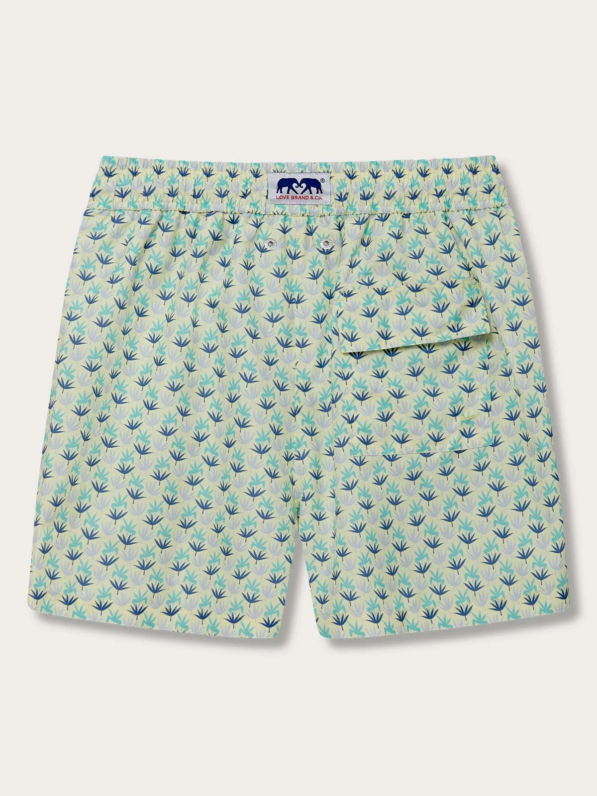 Men's Palm Sugar Staniel Swim Shorts