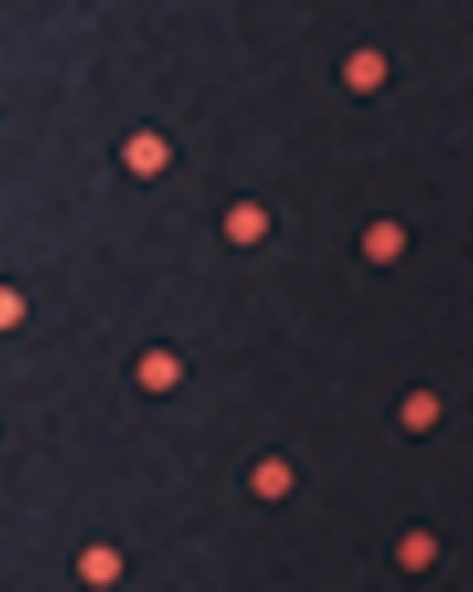 Rune Polka Dot Button-Front Maxi Dress | Navy / Red