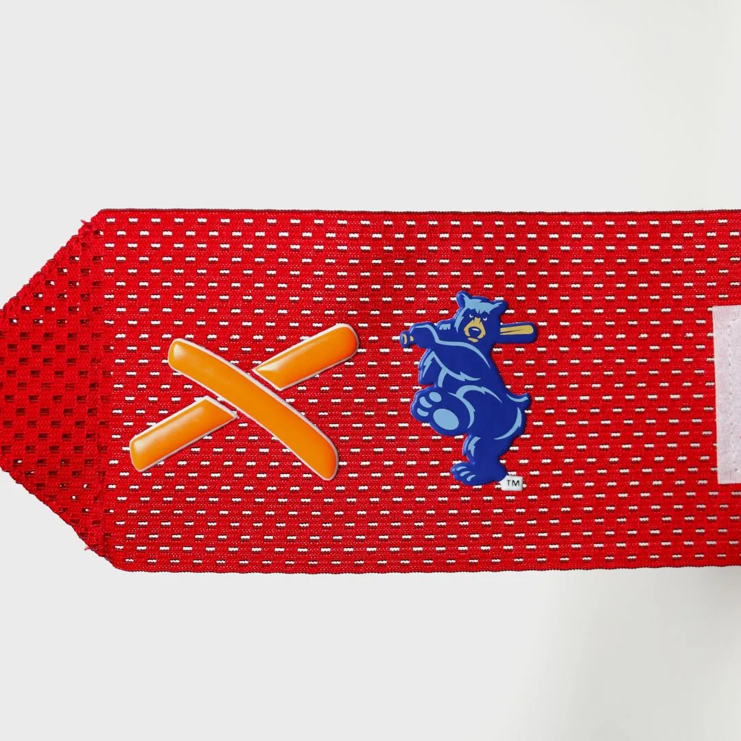 smokies sliding mitt | tennessee smokies milb collab